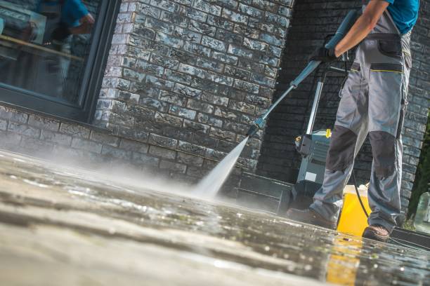 Best Animal Enclosure Cleaning  in Estancia, NM